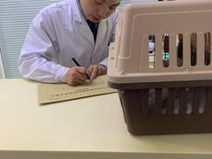 -全心全意连锁动物医院(加州店)