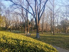 -玲珑塔公园