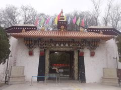 -罗布林卡