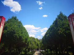 -沈阳职业技术学院