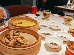 -杨氏青龙虾·羊蝎子(金盛路总店)