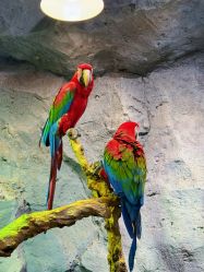 -Zoolung Zoolung动物主题公园(海信广场店)