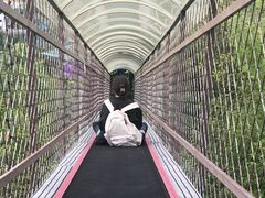 -蓟州溶洞风景区