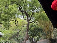 -石峰岩寺