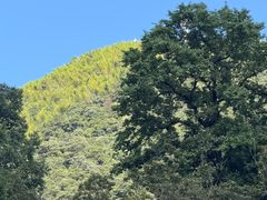 -藏龙百瀑漂流