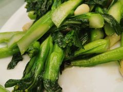 蒜蓉炒宁夏菜心-金苑海鲜酒家(新港中路店)