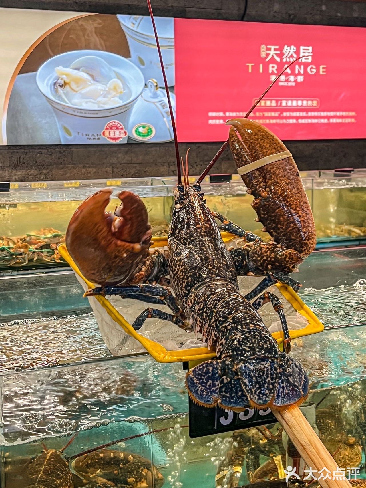 在福州！！带长辈来吃被狂夸的海鲜！！