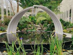 -深圳仙湖植物园