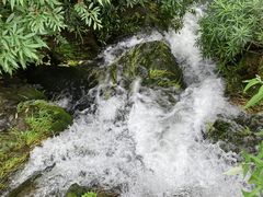-花溪公园
