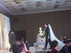 -上海龙之梦万丽酒店