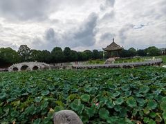 -建水文庙