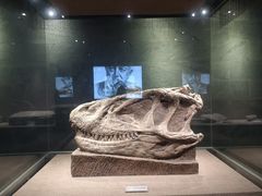 -自贡恐龙博物馆