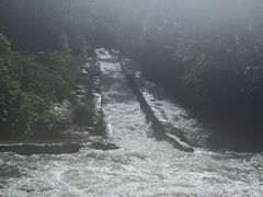 -龙岩森林水乡景区