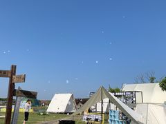 -上海都市菜园