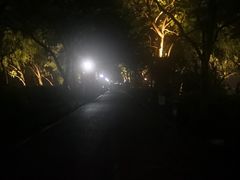-苏堤停车场