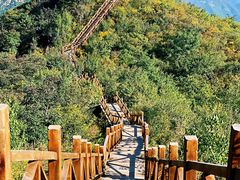 -大岭沟猕猴桃谷风景区