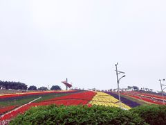 -东部华侨城
