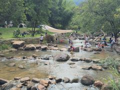 -广州白江湖森林公园