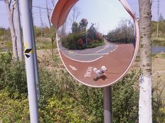 -上海长兴岛郊野公园