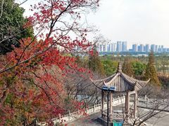 -苏州上方山国家森林公园
