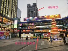 -猫腻·猫咖·撸猫馆(星光大道店)