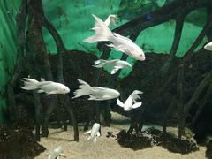 -常州海昌海洋探索馆