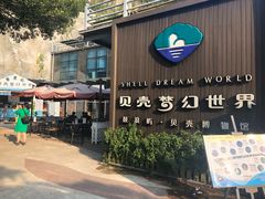 -贝壳梦幻世界