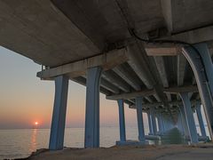 -宝安西湾红树林湿地公园