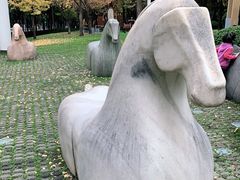 -唐城墙遗址公园