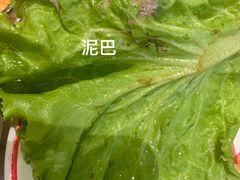 -龍歌自助小火锅(李沧丽达店)