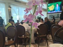 -金河半岛园林酒家(金融城店)