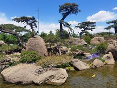 -罗红摄影艺术馆