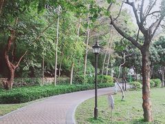 -阳台山森林公园