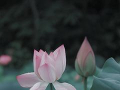 -金山公园
