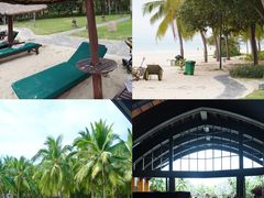 -三亚湾海居铂尔曼度假酒店