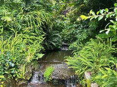 -腾冲洞山温泉村