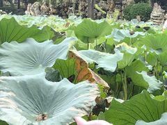 -莲池书院博物馆