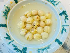-子福慧(虹桥店)