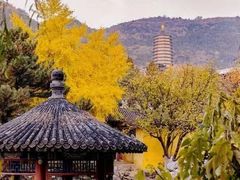 -八大处公园