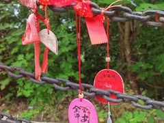 -九真山风景区