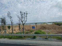 -盐城丹顶鹤湿地生态旅游区