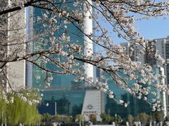 -西北湖绿化广场