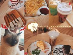 -猫的茶·猫咖