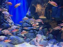 -成都浩海立方海洋公园