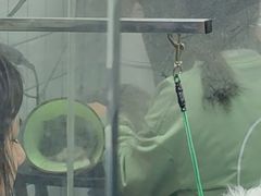 -唐小姐の猫狗洗护·购宠旗舰店(周浦万达店)