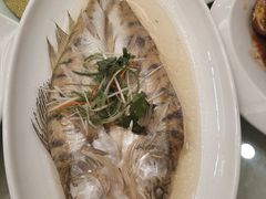 -同济大酒店(绿宝广场店)