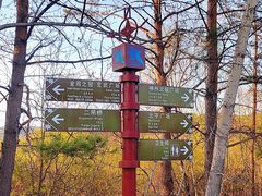 -北极村旅游风景区