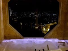 -新加坡丽思卡尔顿美年酒店