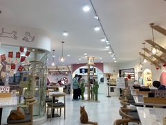 -喵园·猫主题咖啡厅·撸猫·猫咖(国贸店)