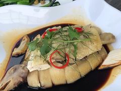 -东馆和天下特色餐饮(工农店)